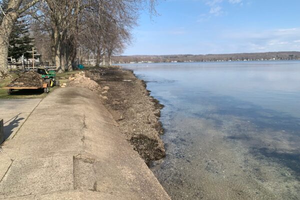 Mayville Shoreline with 12 in of dried weeds March 2024
